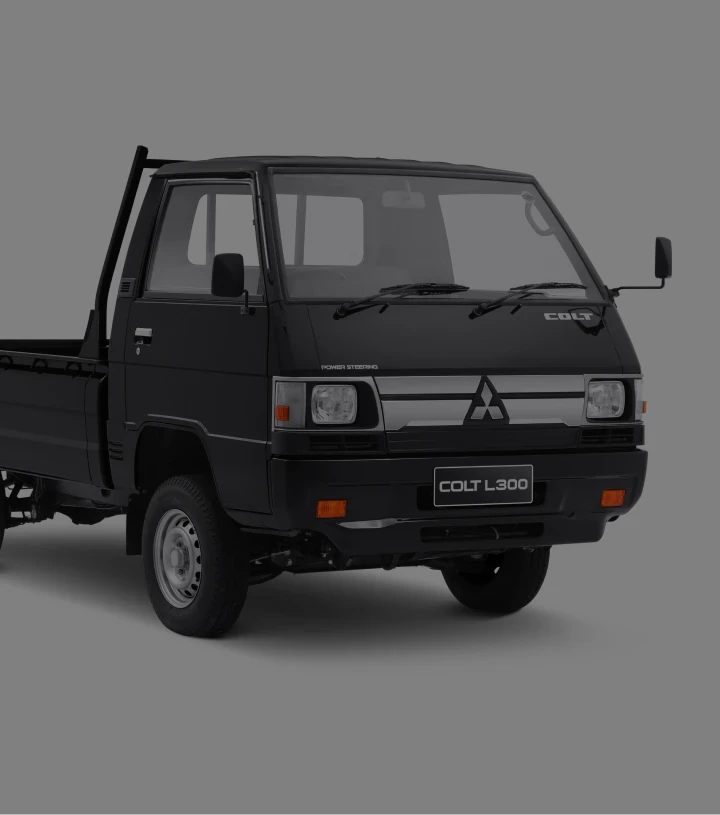 Mitsubishi L300